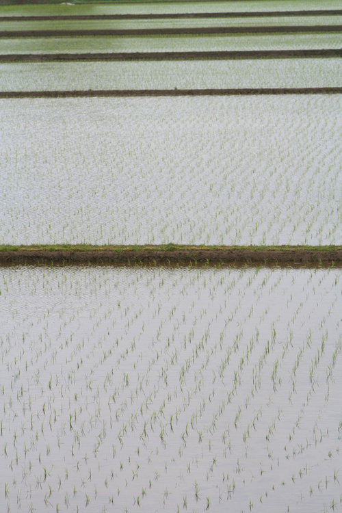20090506_019.jpg